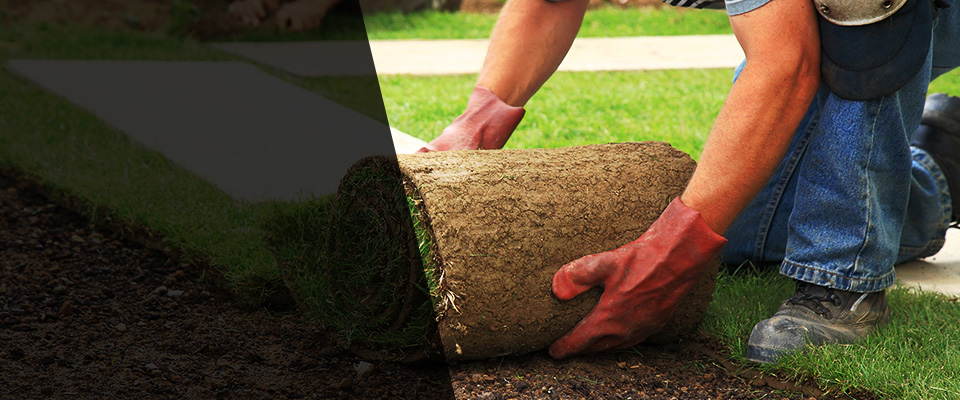 Mokena Landscapers